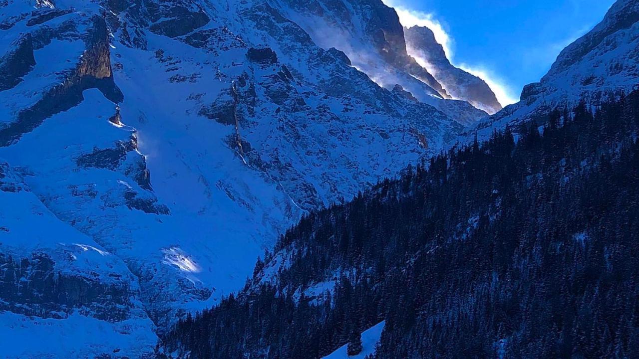 Ferienwohnung im Grünen Grindelwald Exterior foto