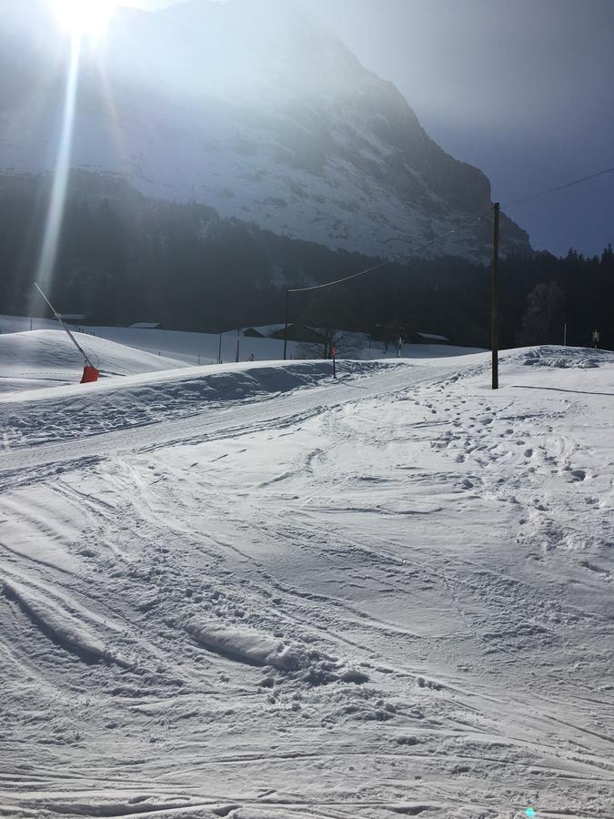 Ferienwohnung im Grünen Grindelwald Exterior foto