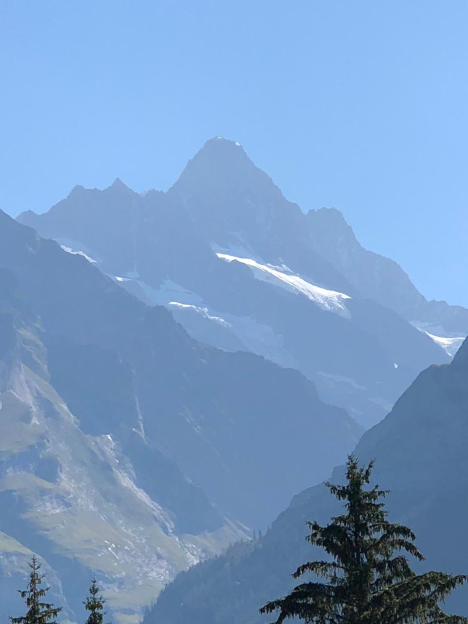 Ferienwohnung im Grünen Grindelwald Exterior foto