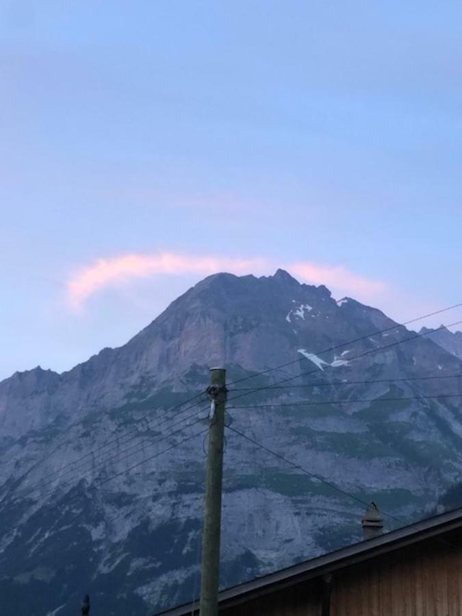 Ferienwohnung im Grünen Grindelwald Exterior foto