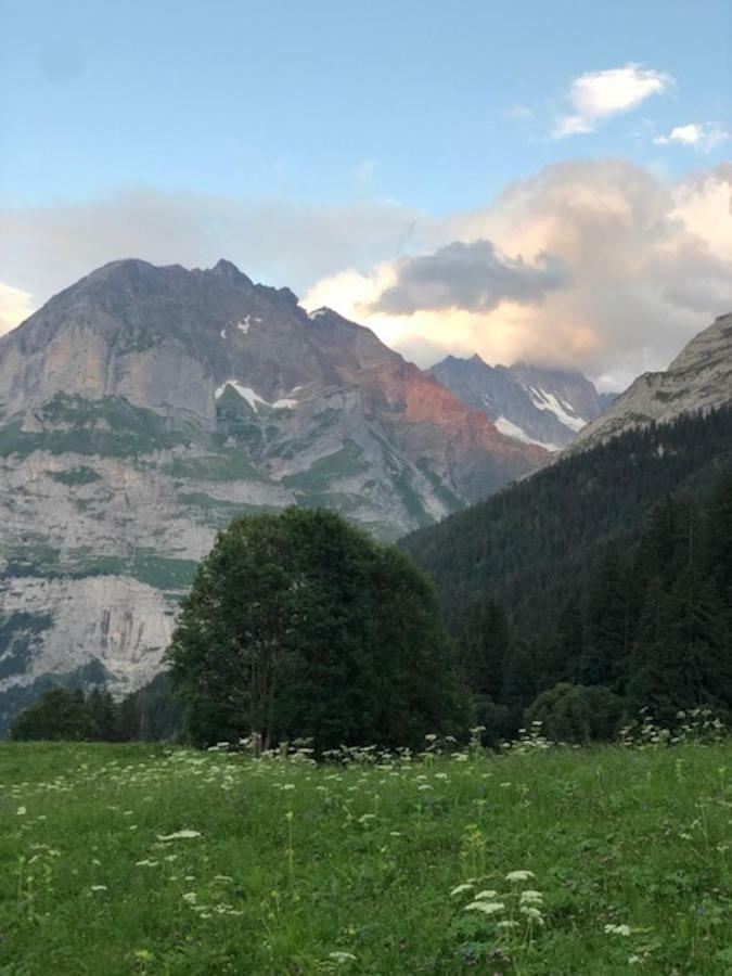 Ferienwohnung im Grünen Grindelwald Exterior foto